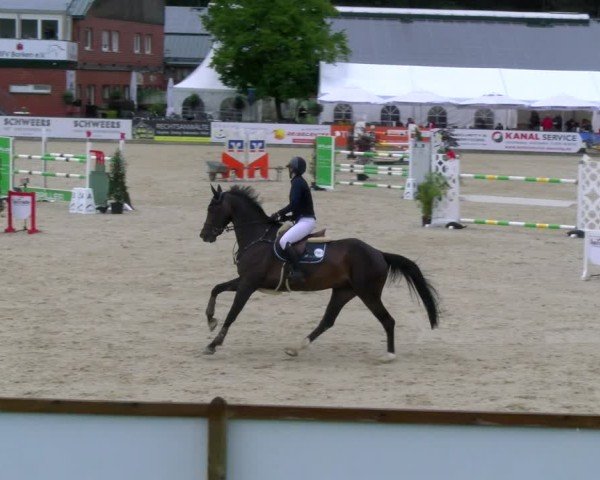 Reitturnier Borken 2025