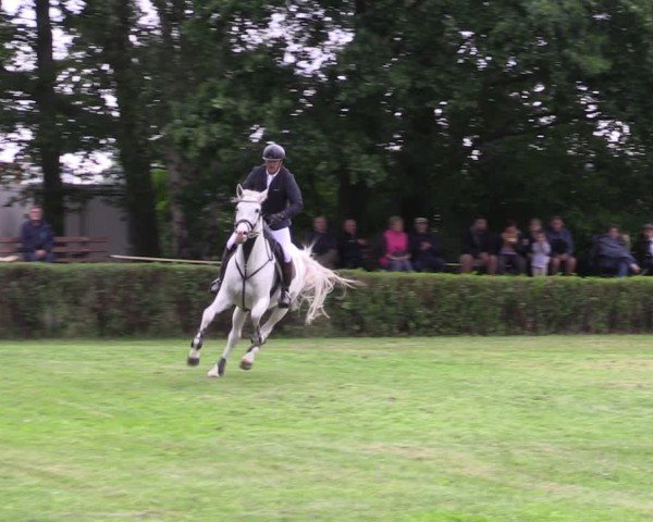 Reitturnier Wustrow 2025