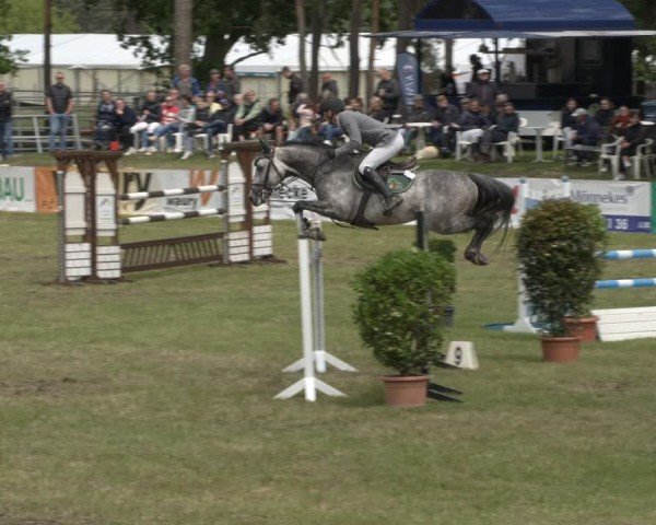 Reitturnier Cottbus-Sielow 2025