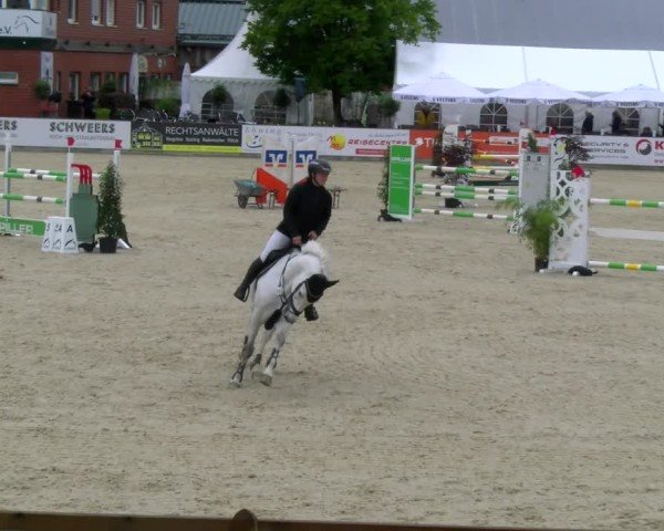 Reitturnier Borken 2025