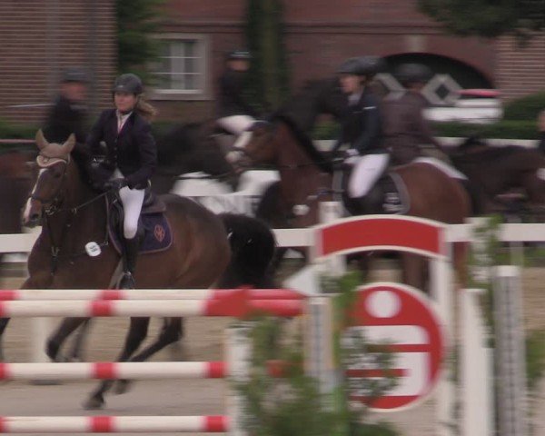 Reitturnier Everswinkel 2025