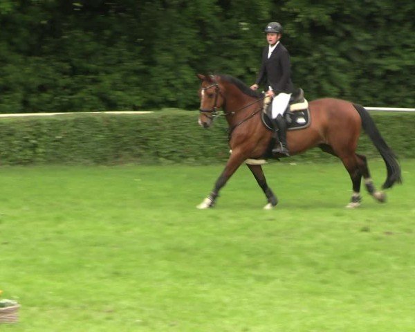 Reitturnier Westeregeln 2025