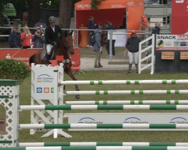 Reitturnier Cottbus-Sielow 2025