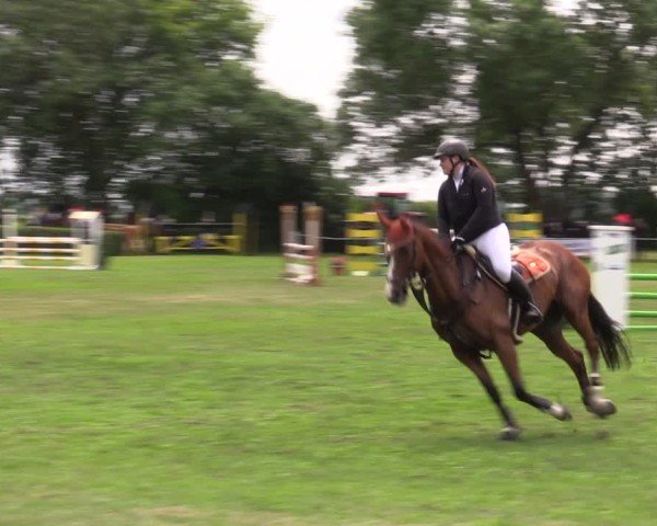 Reitturnier Wustrow 2025