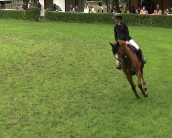 Reitturnier Westeregeln 2025