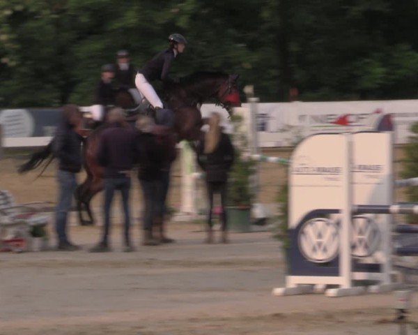 Reitturnier Everswinkel 2025