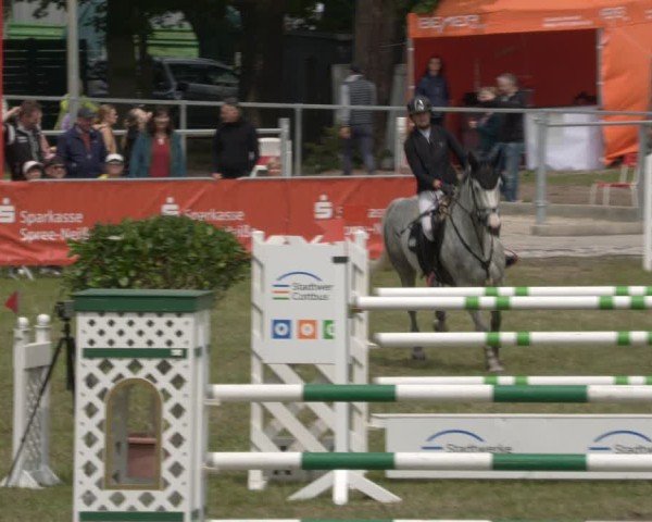 Reitturnier Cottbus-Sielow 2025