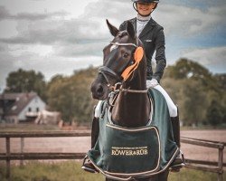 dressage horse Los Angeles 28 (Hanoverian, 2021, from Livaldon)