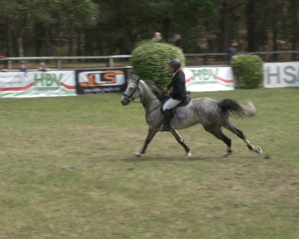 Reitturnier Cottbus-Sielow 2025