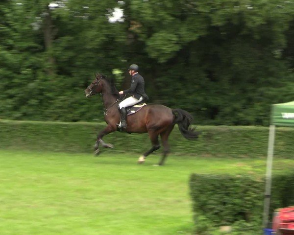 Reitturnier Westeregeln 2025