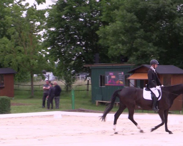 Reitturnier Westeregeln 2025