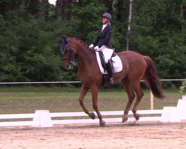 Reitturnier Horka 2025