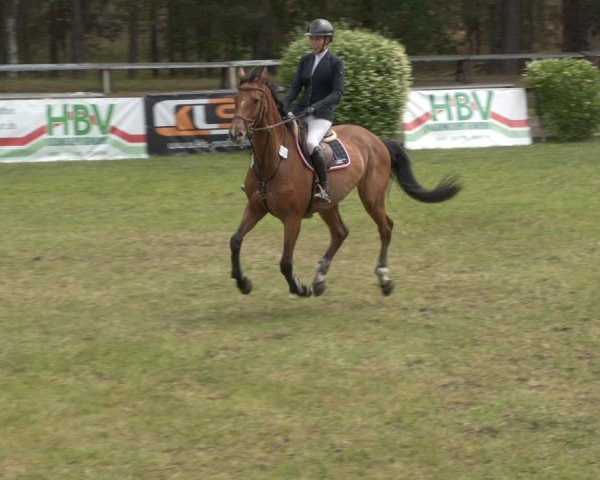 Reitturnier Cottbus-Sielow 2025
