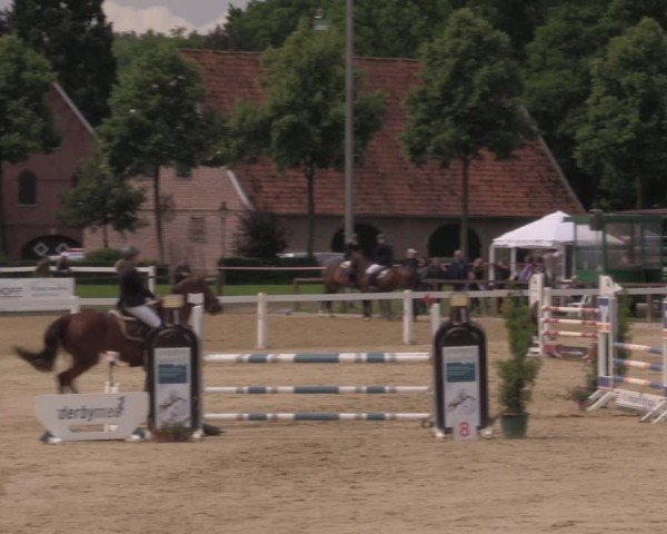 Reitturnier Everswinkel 2025