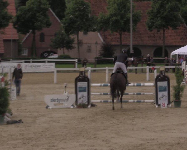 Reitturnier Everswinkel 2025