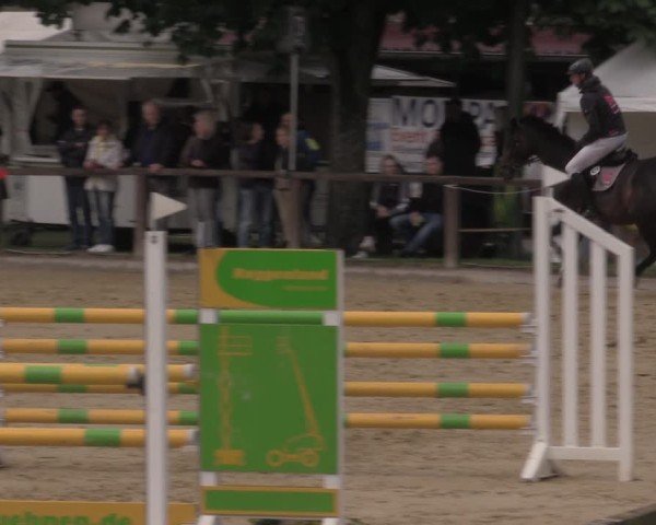 Reitturnier Everswinkel 2025