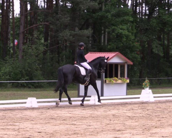 Reitturnier Horka 2025