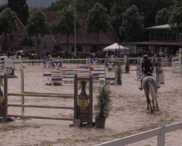 Reitturnier Everswinkel 2025