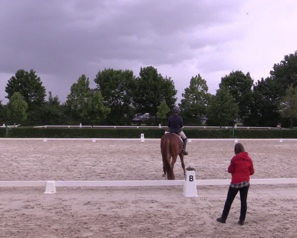 Reitturnier Westeregeln 2025