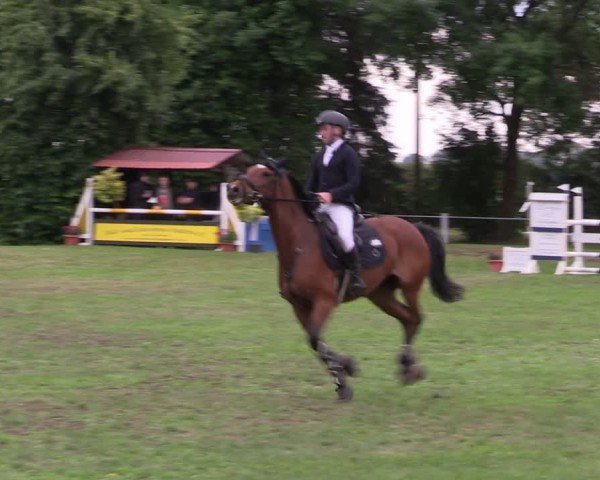 Reitturnier Wustrow 2025