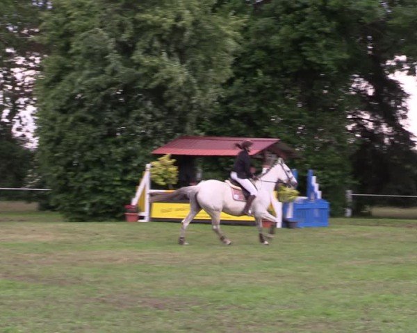 Reitturnier Wustrow 2025