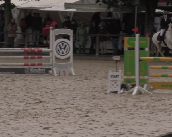 Reitturnier Everswinkel 2025