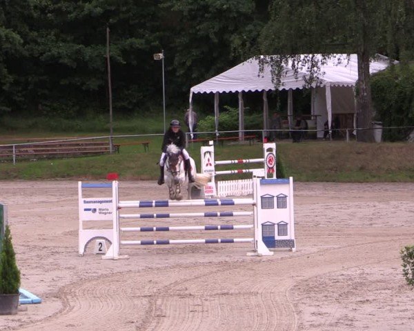 Reitturnier Langenleuba - Oberhain 2025