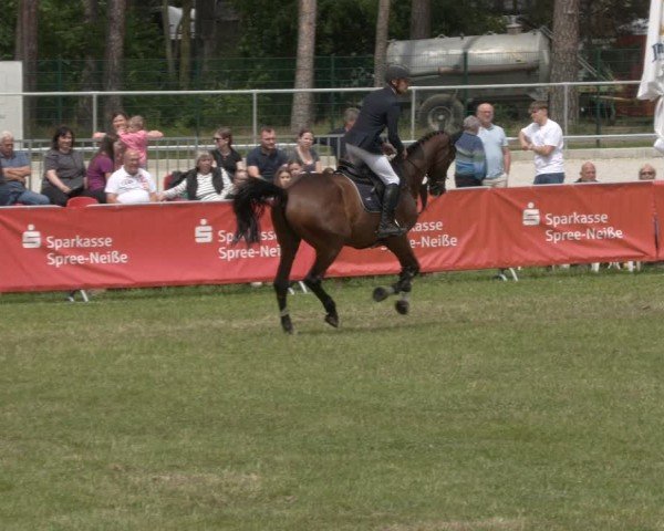 Reitturnier Cottbus-Sielow 2025