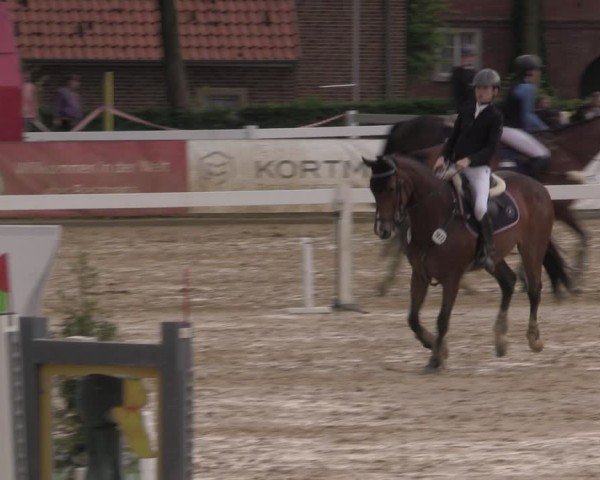 Reitturnier Everswinkel 2025
