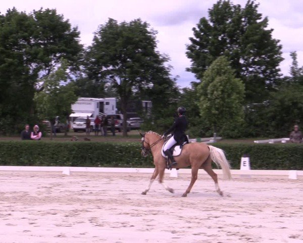 Reitturnier Westeregeln 2025