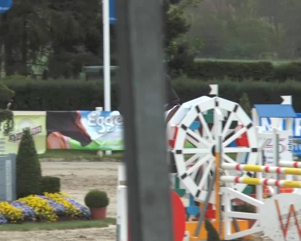 Lenklarer Reitertage 2014