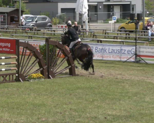 Reitturnier Cottbus-Sielow 2025