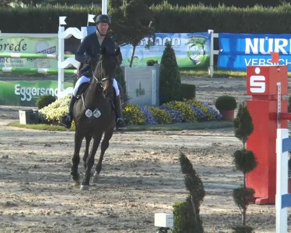 Lenklarer Reitertage 2014
