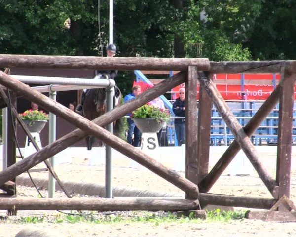 Reitturnier Taufkirchen-Vils/Obb. 2025