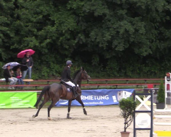 Reitturnier Langenleuba - Oberhain 2025