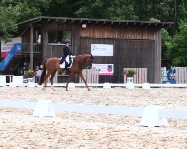 Reitturnier Taufkirchen-Vils/Obb. 2025