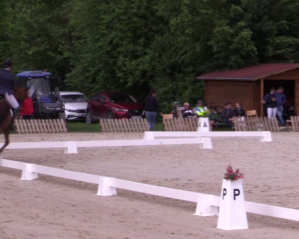 Reitturnier Westeregeln 2025