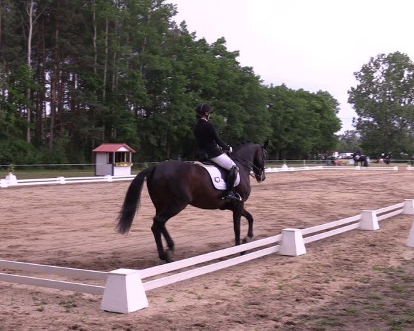 Reitturnier Horka 2025
