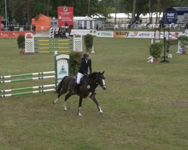 Reitturnier Cottbus-Sielow 2025