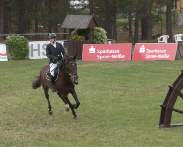 Reitturnier Cottbus-Sielow 2025