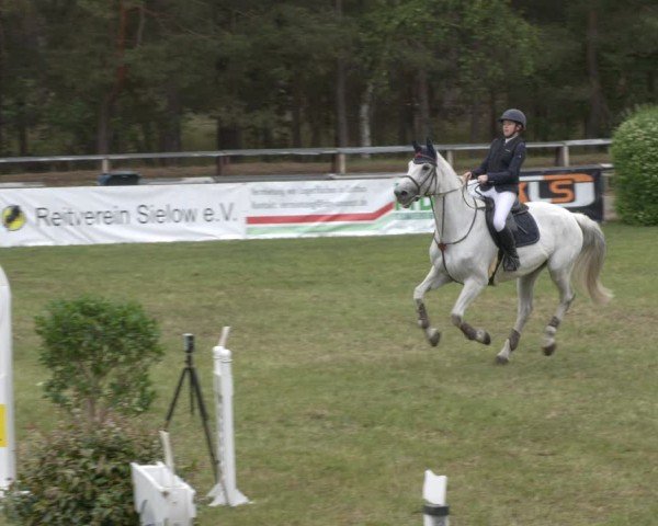 Reitturnier Cottbus-Sielow 2025