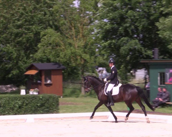 Reitturnier Westeregeln 2025