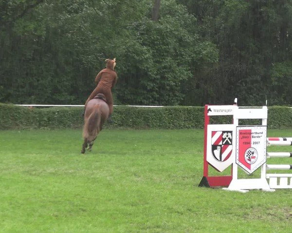 Reitturnier Westeregeln 2025