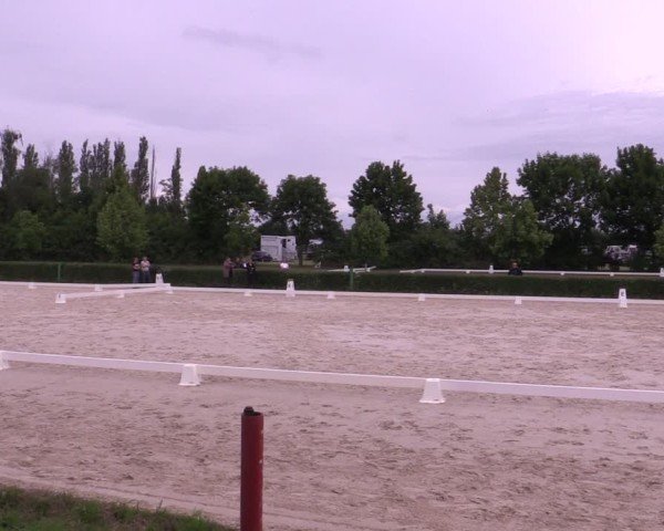 Reitturnier Westeregeln 2025