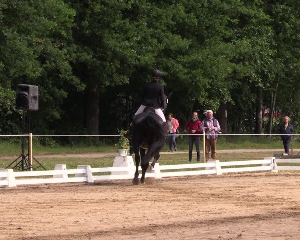 Reitturnier Horka 2025