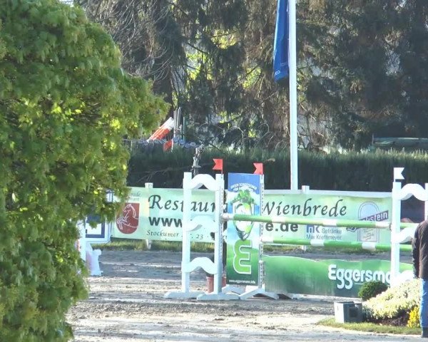 Reitturnier Werne-Lenklar 2014