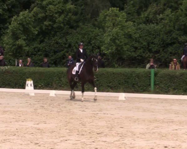Reitturnier Westeregeln 2025