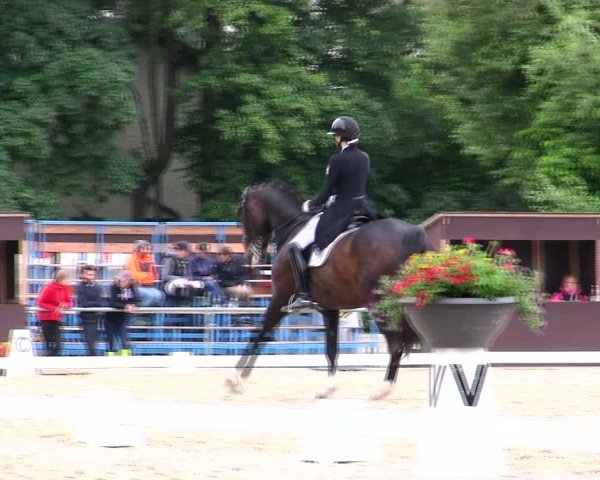 Reitturnier Taufkirchen-Vils/Obb. 2025