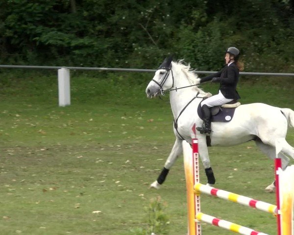 Reitturnier Forst 2025
