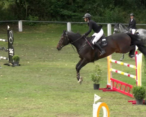 Reitturnier Forst 2025
